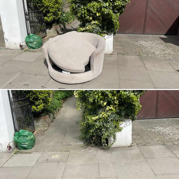 Single Item Collection 4