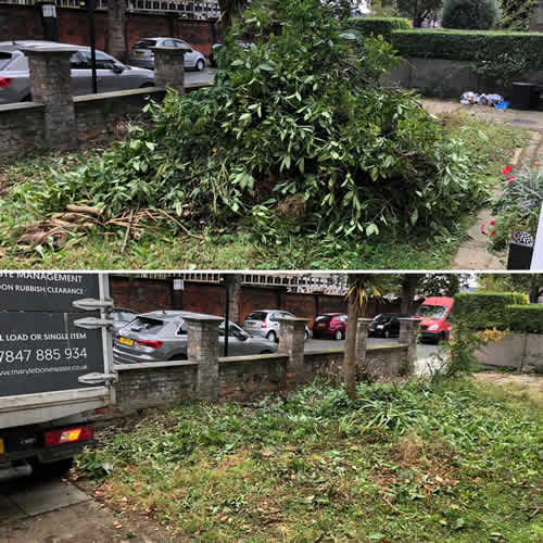 garden waste removal 1