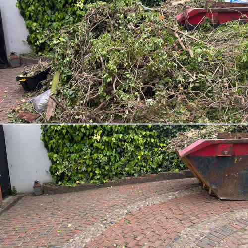 garden waste removal 10