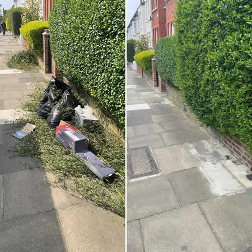 garden waste removal 3